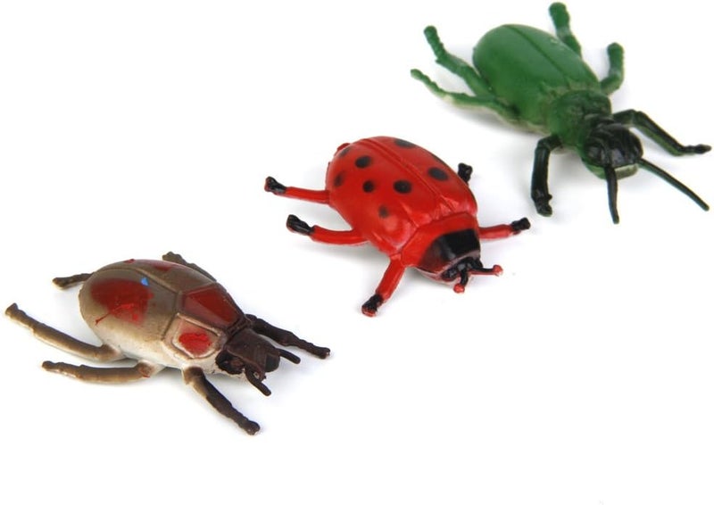 klarako 12x Multi color Beetle Model, Fake Beetle Insect Model, Realistic Plastic Beetle Figures Collection, Science Educational Toy - Image 3