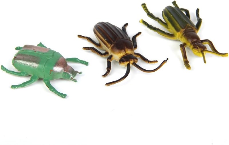 klarako 12x Multi color Beetle Model, Fake Beetle Insect Model, Realistic Plastic Beetle Figures Collection, Science Educational Toy - Image 4