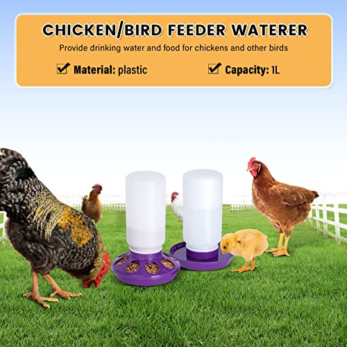 NAOEDEAH Chick Feeder and Waterer Set no Waste Chicken Water Dispenser 1L Chicken Water Feeder Poultry Waterer Baby Chick Duckling Supplies Starter Kit Purple - Image 3