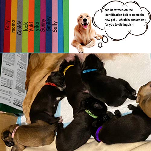 FEBSNOW 15 Pcs Puppy Whelping Collars Newborn Pet Collars Double-sided Soft Adjustable ID Bands Puppy Id Collars for Newborn Pet Dog Cat 15 Colors - Image 5
