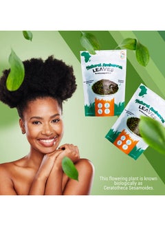 Generic Natural Ambunnu Leaves By Excluniq World 50G Pack | Herbal Hair Detangler, Shampoo & Conditioner For Dry And Damaged Hair | African Traditional Scalp & Hair Care Remedy For Girls, Women & Men  - Image 3