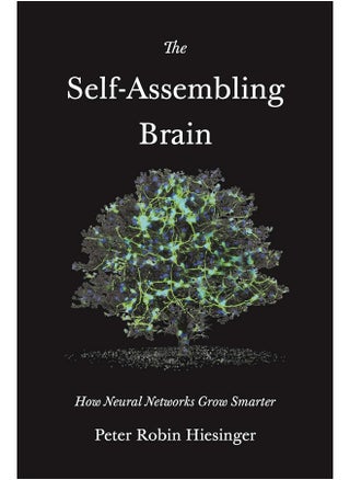 The Self-Assembling Brain: How Neural Networks Grow Smarter - pzsku/Z7240A811C9300FD00216Z/45/_/1737964966/84598e6c-fa60-4c07-b8bb-a918e18138fa