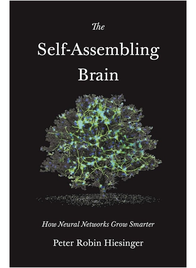 null - The Self-Assembling Brain: How Neural Networks Grow Smarter - Image 1