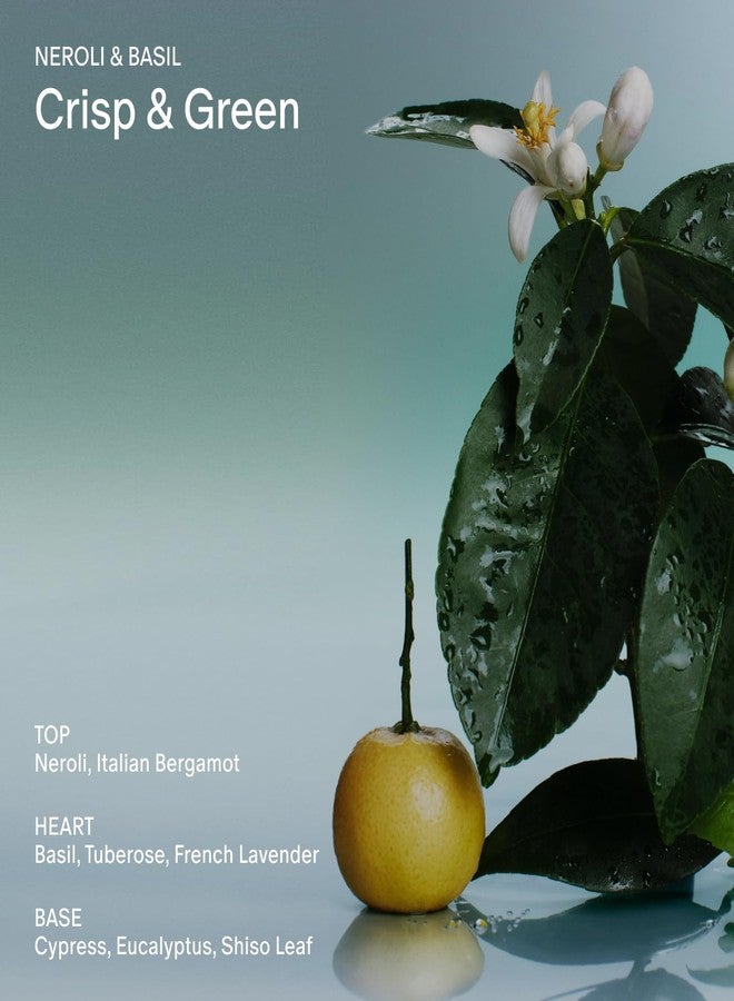 Salt & Stone Body Wash for Women & Men | Neroli & Basil | Hydrating Gel Cleanser | Clean & Soften Skin | Made with Niacinamide & Hyaluronic Acid | Free From Parabens, Sulfates & Pthalates (15.2 oz) - Image 5