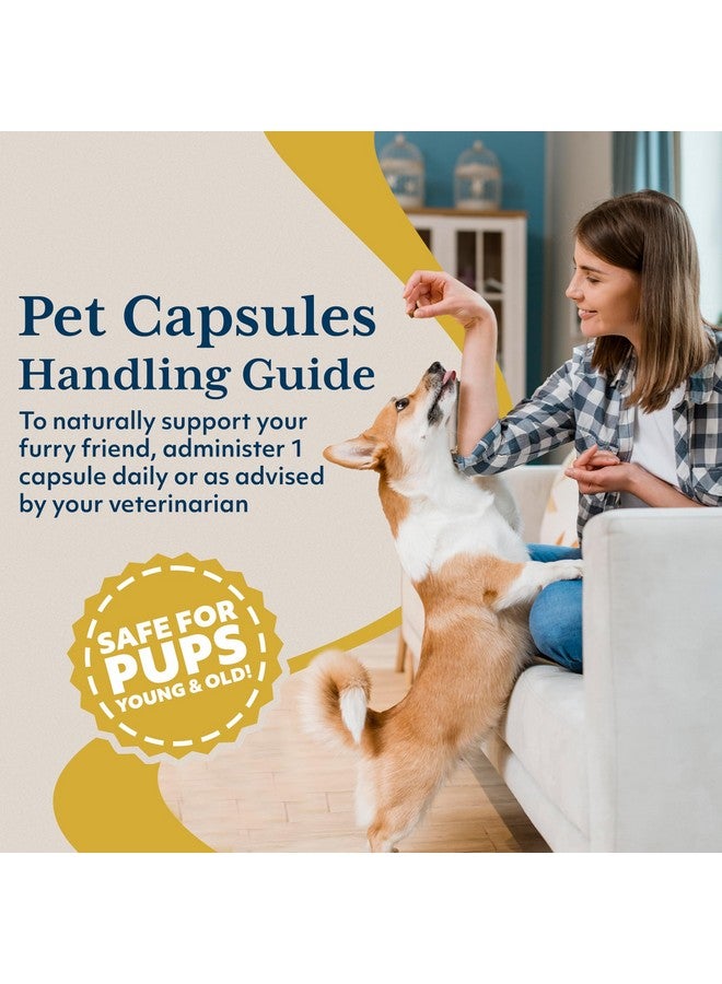 Ayush Herbs Ayush Pet Stress Support, Ashwagandha Calming Aid for Pets, Promotes Energy and Vitality, 120 Capsules - Image 5