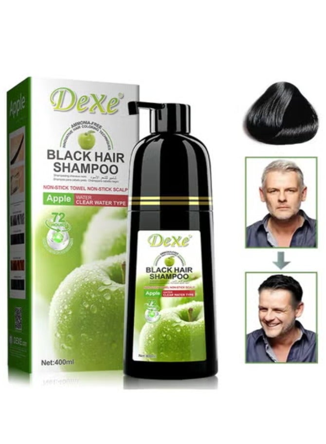 Dexe Apple Hair Color Shampoo 400 ML - Image 1