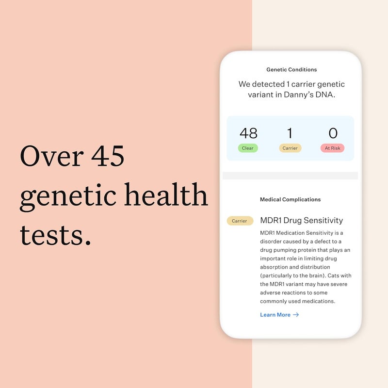 Wisdom Panel Complete Comprehensive Cat DNA Test kit for 45 Health Genetic Health Conditions 70 Breeds and populations 25 Traits Blood Type Pack of 1 - Image 4