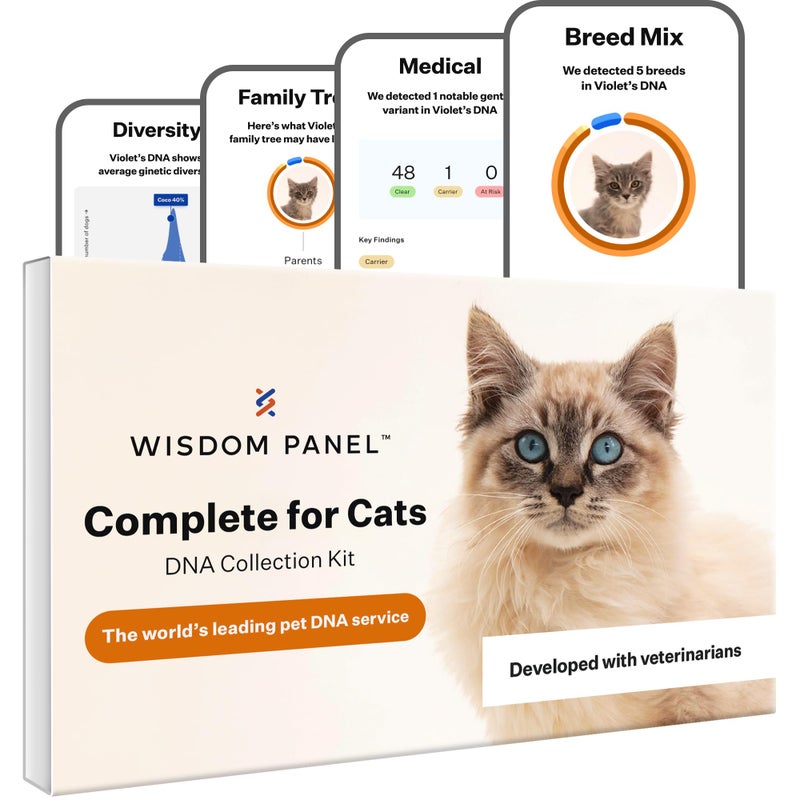 Wisdom Panel Complete Comprehensive Cat DNA Test kit for 45 Health Genetic Health Conditions 70 Breeds and populations 25 Traits Blood Type Pack of 1 - Image 1
