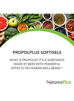 Nature's Plus Naturesplus Propolplus 180 Mg 60 Softgels Quality Bee Propolis Supplement With Bee Pollen 60 Servings  - Image 4