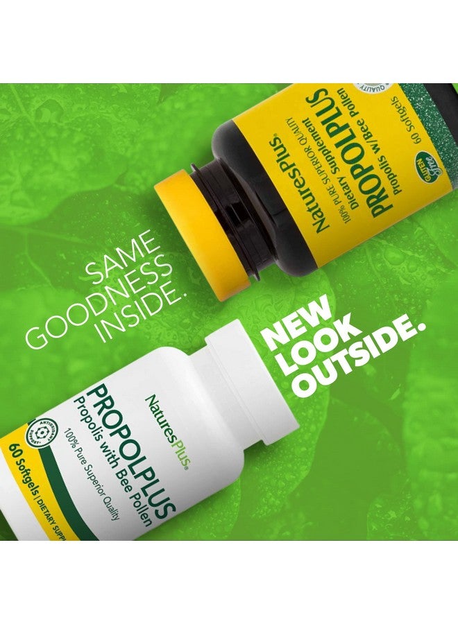 Nature's Plus Naturesplus Propolplus 180 Mg 60 Softgels Quality Bee Propolis Supplement With Bee Pollen 60 Servings - Image 3