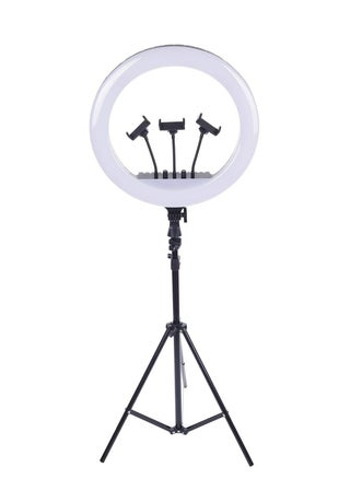 LED Ring Light Soft, Multi-Mode, Eye-Safe Lighting - 360-Degree Rotation - Ideal for Live Streaming and Vlogging – White - pzsku/Z724481E2CD56CA2A05A4Z/45/_/1737641611/f62473cc-addb-447a-8386-4226ab1070e8