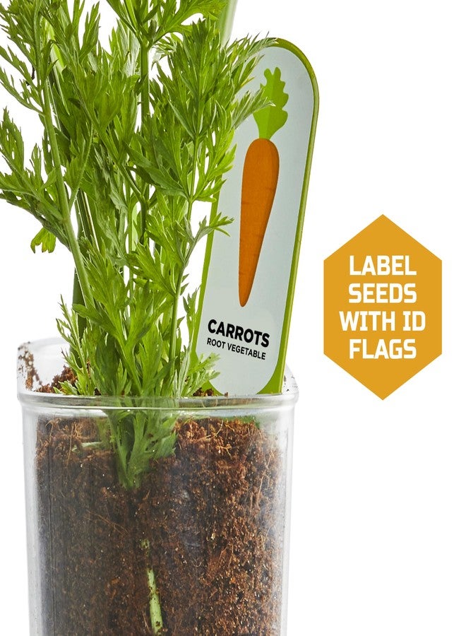 Discovery Kids Discovery™ Edible Veggie Garden Watch-It-Grow Kit - DIY STEM Activity for Kids | Grow Carrots, Radishes & Onions| 11-Piece Science Kit with Seeds, Potting Mix & Root Tracker| Learning Toy Gift Ages 6+ - Image 4