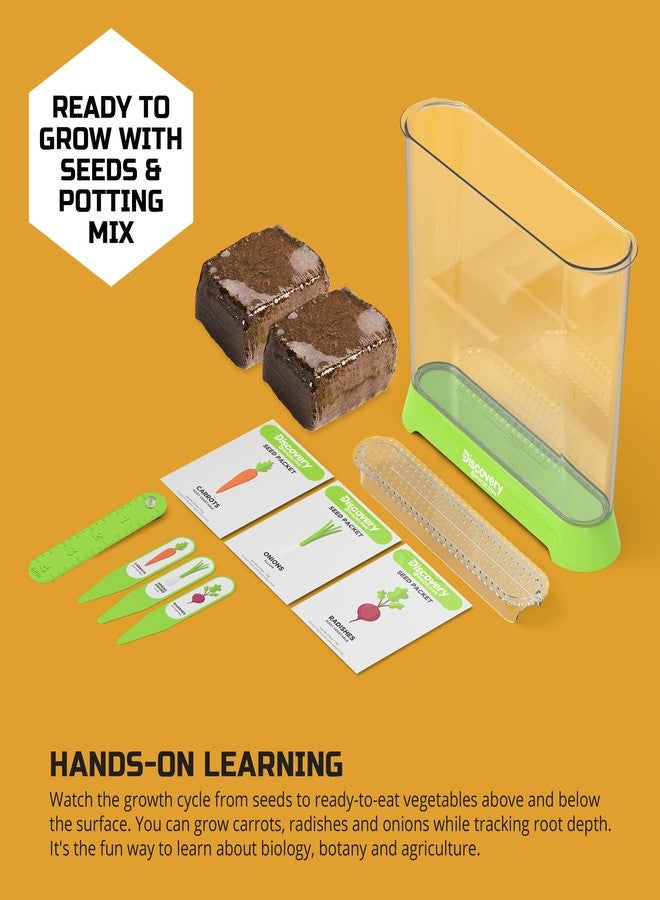 Discovery Kids Discovery™ Edible Veggie Garden Watch-It-Grow Kit - DIY STEM Activity for Kids | Grow Carrots, Radishes & Onions| 11-Piece Science Kit with Seeds, Potting Mix & Root Tracker| Learning Toy Gift Ages 6+ - Image 3