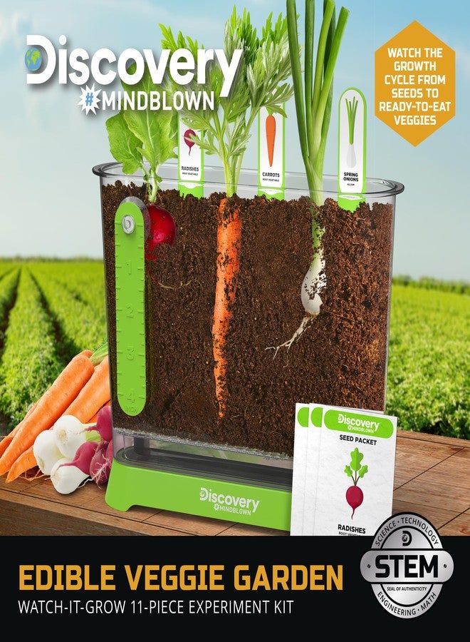 Discovery Kids Discovery™ Edible Veggie Garden Watch-It-Grow Kit - DIY STEM Activity for Kids | Grow Carrots, Radishes & Onions| 11-Piece Science Kit with Seeds, Potting Mix & Root Tracker| Learning Toy Gift Ages 6+ - Image 2