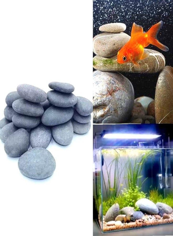 VAYINATO® Aquarium Stones for Fish Tank, 3kg - Natural River Pebbles for Home, Garden Landscaping, Vase Fillers, Wash Basin - Decorative Rock Decoration by Petzlifeworld - Image 3