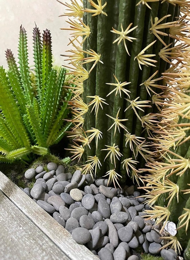 VAYINATO® Aquarium Stones for Fish Tank, 3kg - Natural River Pebbles for Home, Garden Landscaping, Vase Fillers, Wash Basin - Decorative Rock Decoration by Petzlifeworld - Image 5