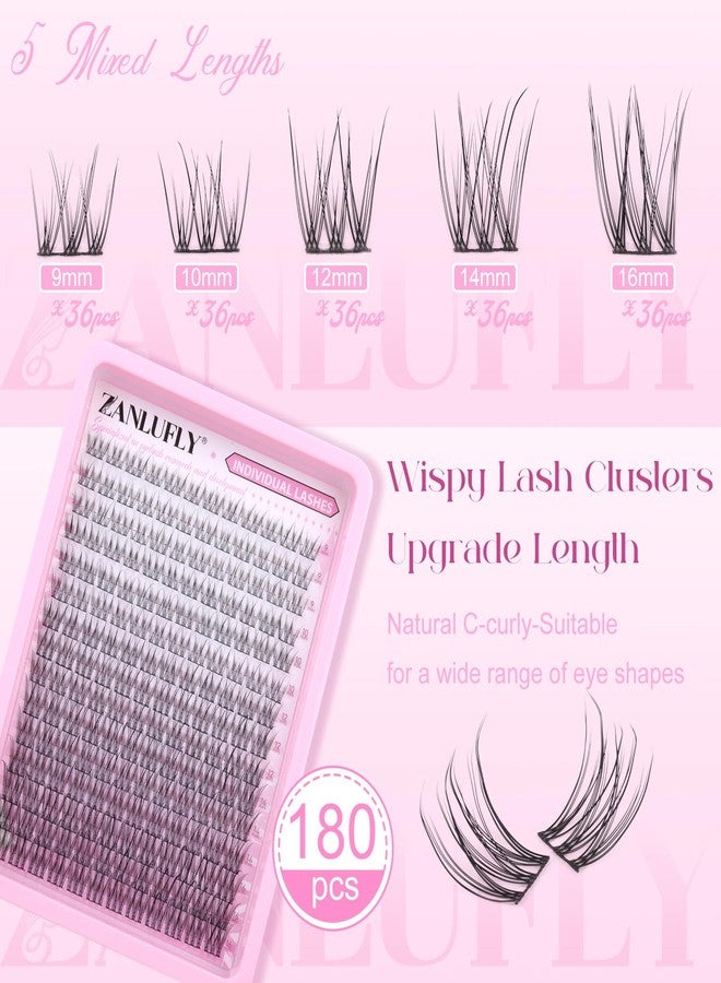 zanlufly Lash CLusters Wispy Eyelash Clusters Natural Lash Extensions C-Curly DIY Eyelash Extensions zanlufly 180Pcs Individual Lashes(9MM 10MM 12MM 14MM 16MM) - Image 2