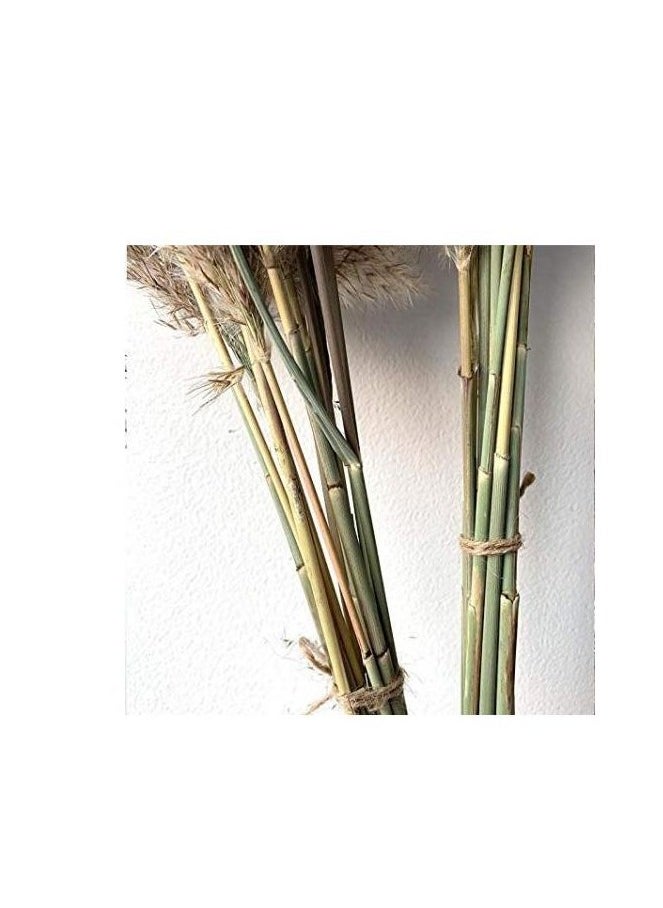 Generic - Natural Grass For Artificial Flowers And Vases. - Image 1