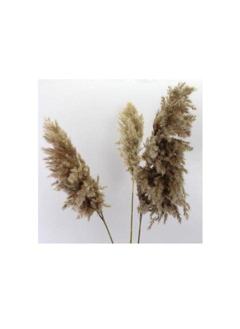 Natural Grass For Artificial Flowers And Vases.