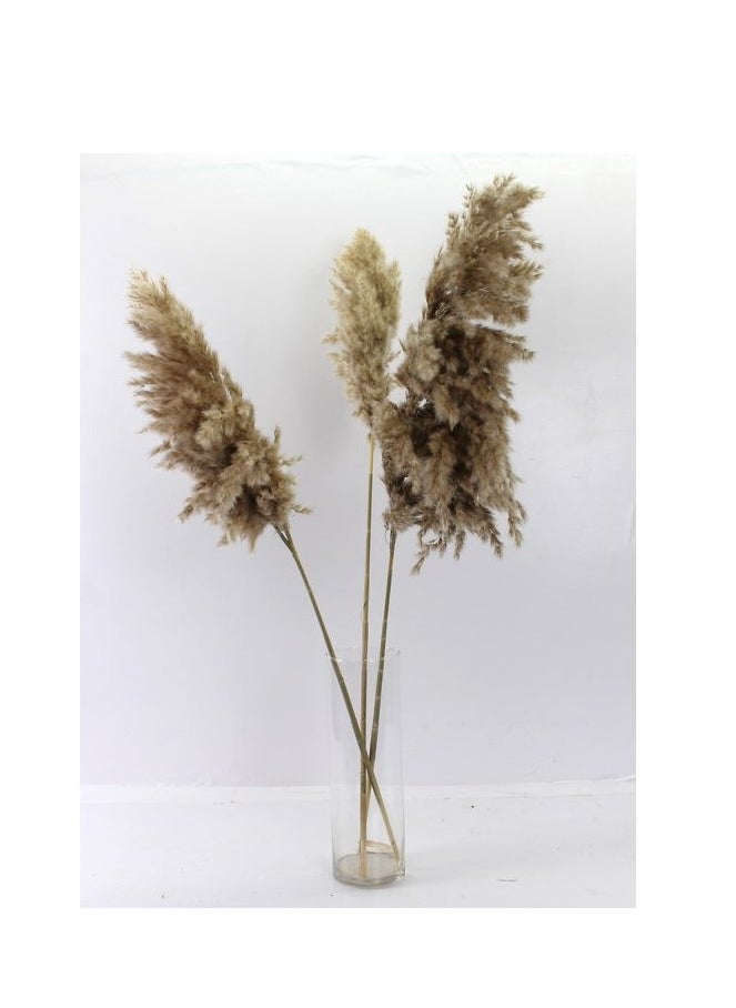 Generic - Natural Grass For Artificial Flowers And Vases. - Image 1