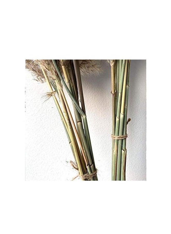Generic - Natural Grass For Artificial Flowers And Vases. - Image 1