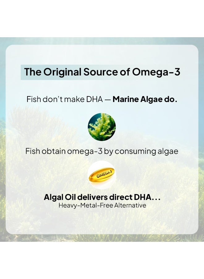 Miduty Veg Omega-3 500mg - 30 Capsules - Image 4