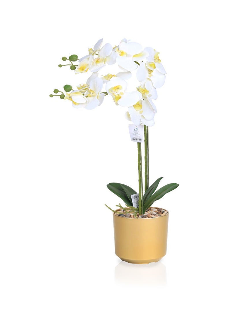 تالا زهرة أوركيد صناعية بفرعين في حوض ذهبي أنيق بارتفاع 60 سم – لمسة جمالية مثالية لتزيين المنازل والمكاتب - Image 1