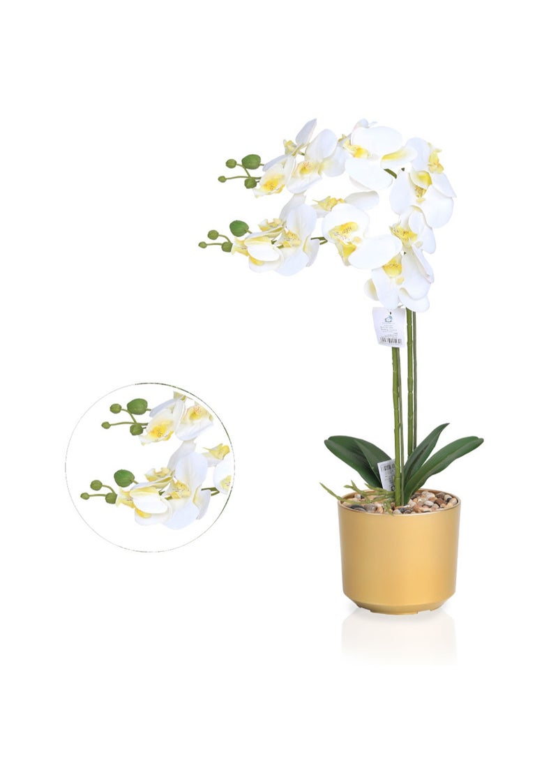 تالا زهرة أوركيد صناعية بفرعين في حوض ذهبي أنيق بارتفاع 60 سم – لمسة جمالية مثالية لتزيين المنازل والمكاتب - Image 3