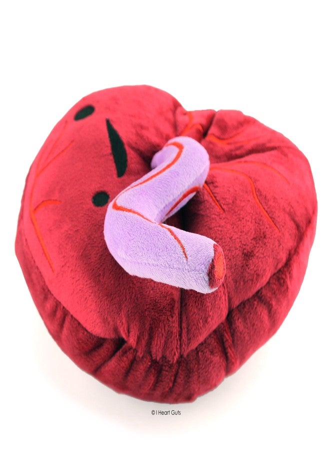 I Heart Guts Placenta Plush - Baby's First Roommate - 10" Odd Baby Gift Stuffed Toy, Gift for New Mom, OB/GYN, Midwife, LDN, Doula, Organ Pillow - Image 3
