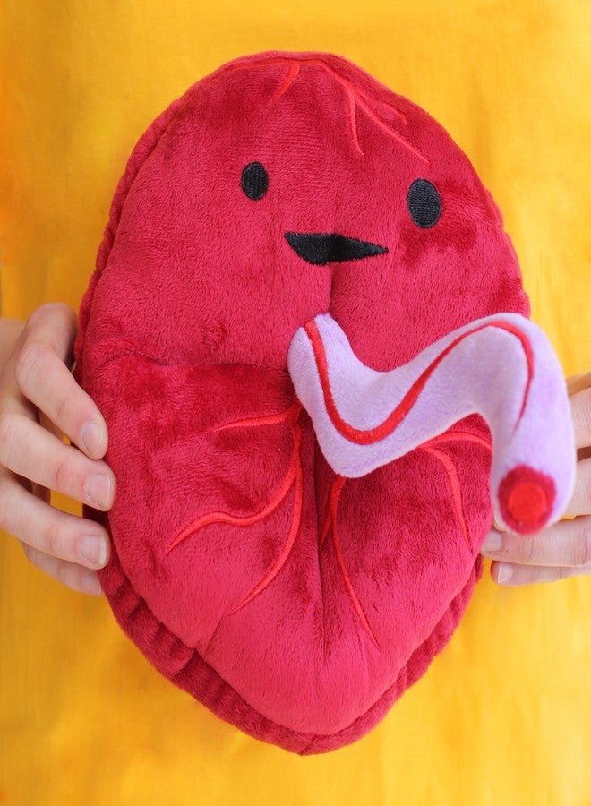 I Heart Guts Placenta Plush - Baby's First Roommate - 10" Odd Baby Gift Stuffed Toy, Gift for New Mom, OB/GYN, Midwife, LDN, Doula, Organ Pillow - Image 4
