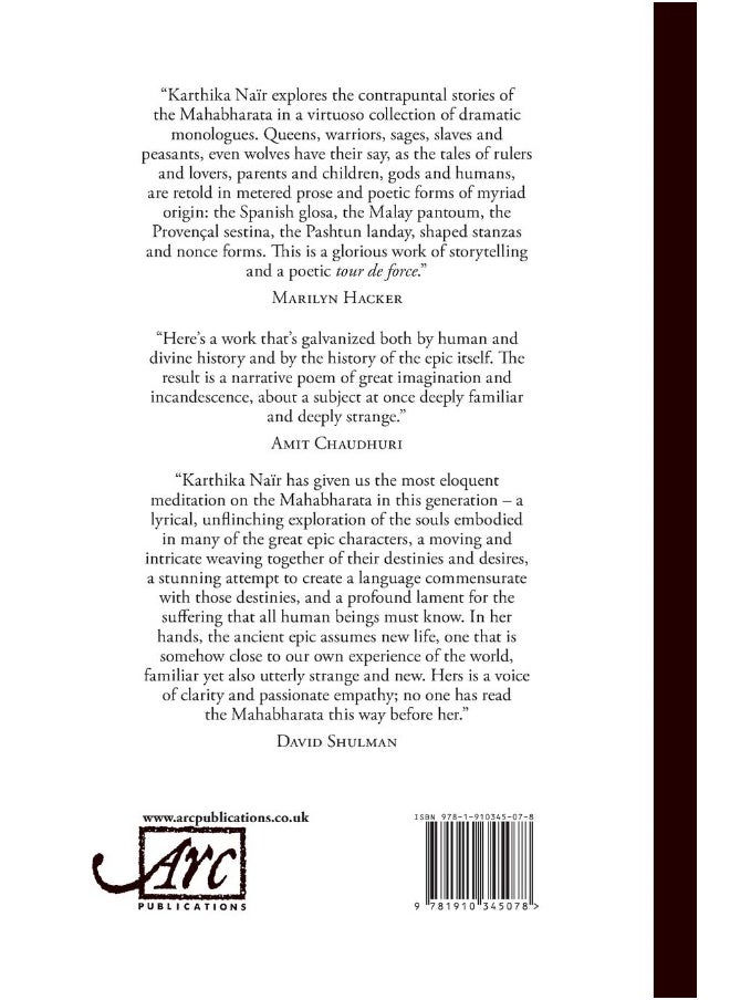 Until the Lions: Echoes from the Mahabharata  - Image 1