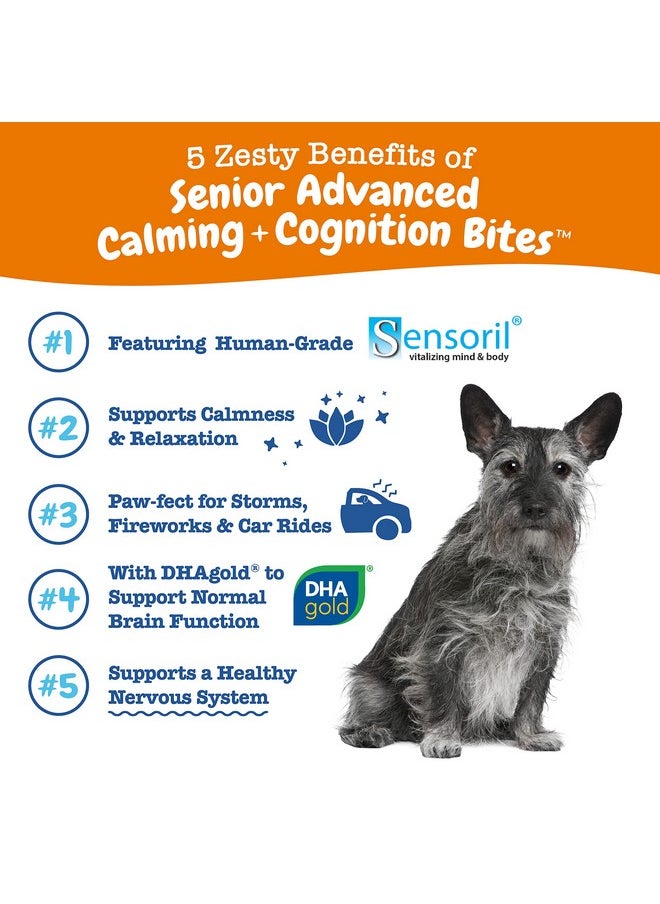 Senior Advanced Calming & Cognition Soft Chews For Dogs  Supplements For Dog Brain Health & Nervous System Support + Calming & Relaxation With Ashwagandha, Dha & Melatonin