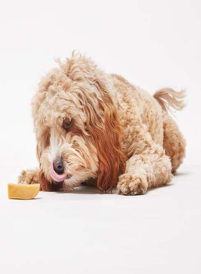 Chewers Mountain Dog Chew, 100% Natural Himalayan Yak Milk Bone, Healthy Calcium Treat for Puppies, 70 GMS - Image 5