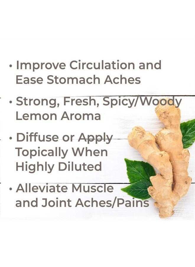 Plant Therapy Ginger Root CO2 Essential Oil 100% Pure, Undiluted, Natural Aromatherapy, Therapeutic Grade 30 mL (1 oz)  - Image 2