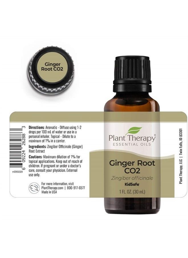 Plant Therapy Ginger Root CO2 Essential Oil 100% Pure, Undiluted, Natural Aromatherapy, Therapeutic Grade 30 mL (1 oz)  - Image 5