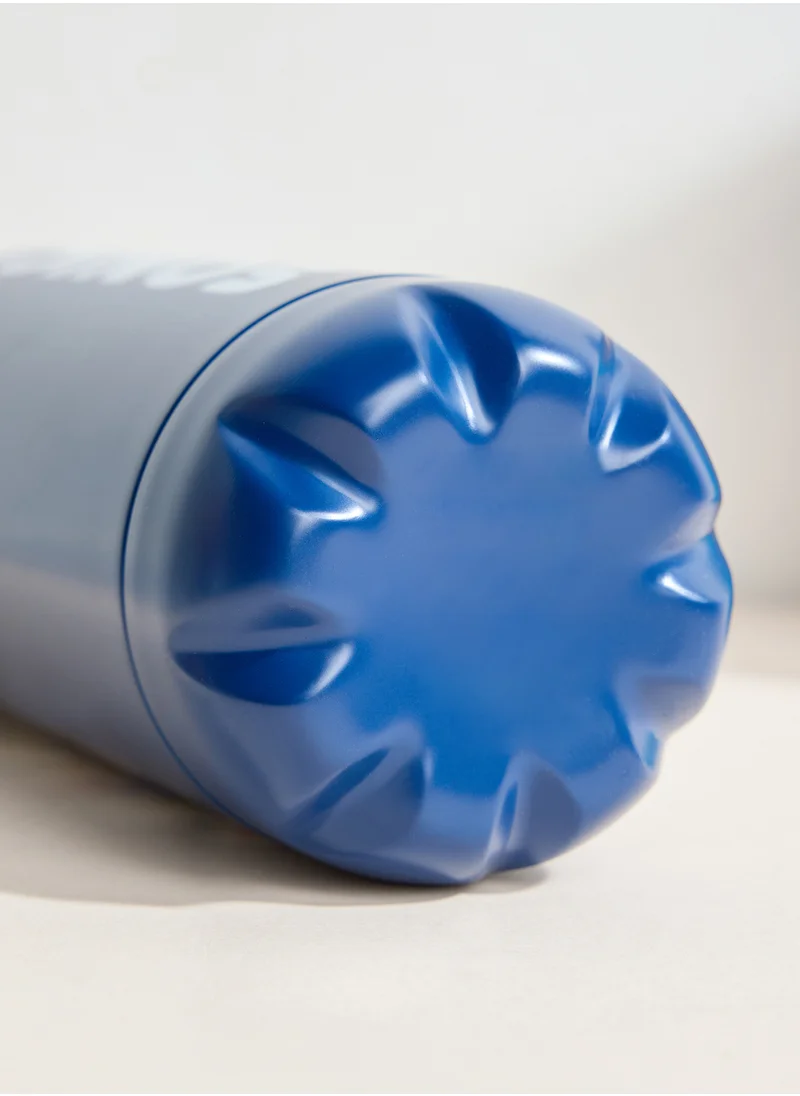 بيراميد Sonic The Hedgehog Speed Trio Metal Drinks Bottle