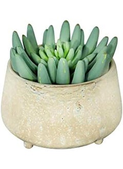 Large Stoneware Footed Cream Reactive Glaze Finish Each One Will Vary Pots And Planters Tan - pzsku/Z72518D299FB1511A0D13Z/45/_/1722928727/85653af6-927d-461b-b5c2-53d63cc86ed1