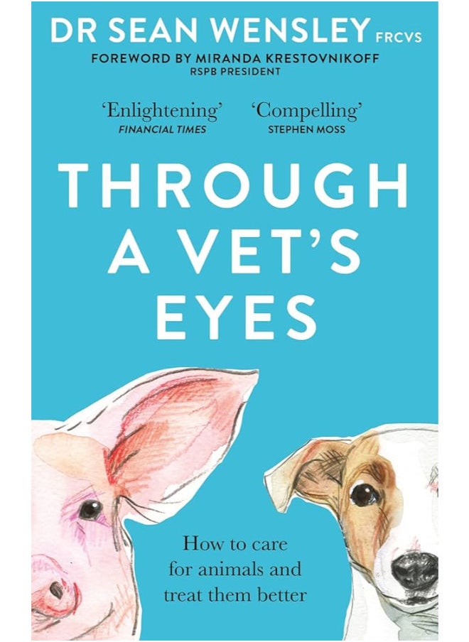 Through A Vet’s Eyes 