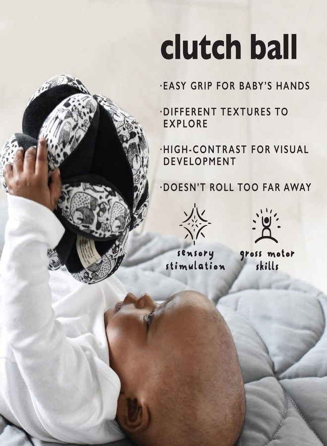 Wee Gallery Montessori Clutch Ball, Soft Cotton Visual Sensory Toys for Babies, Easy to Hold Baby Developmental Toy for Infant Play, Jungle - Image 3