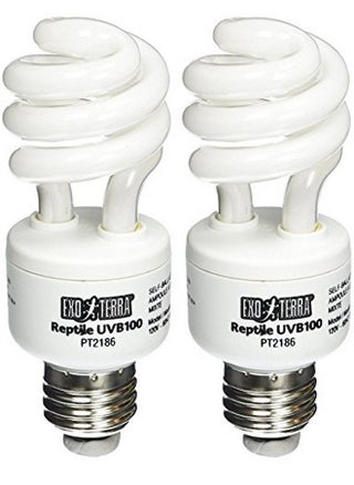 Exo Terra Repti-Glo 5.0 Compact Fluorescent Tropical Terrarium Lamps, 13 Watt (2 Pack) - pzsku/Z7253DEA46DAE66F9C233Z/45/_/1737031732/af5d85a2-f1c1-4695-a6d0-7713a9c28d3e