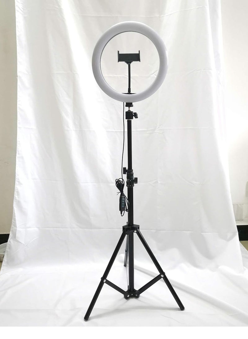 10-Inch Ring Light with Tripod Stand – 3 Color Styles, 3 Color Modes, 8 Brightness Levels, USB Powered LED Selfie Ring Light with Phone Holder – Black - Image 1