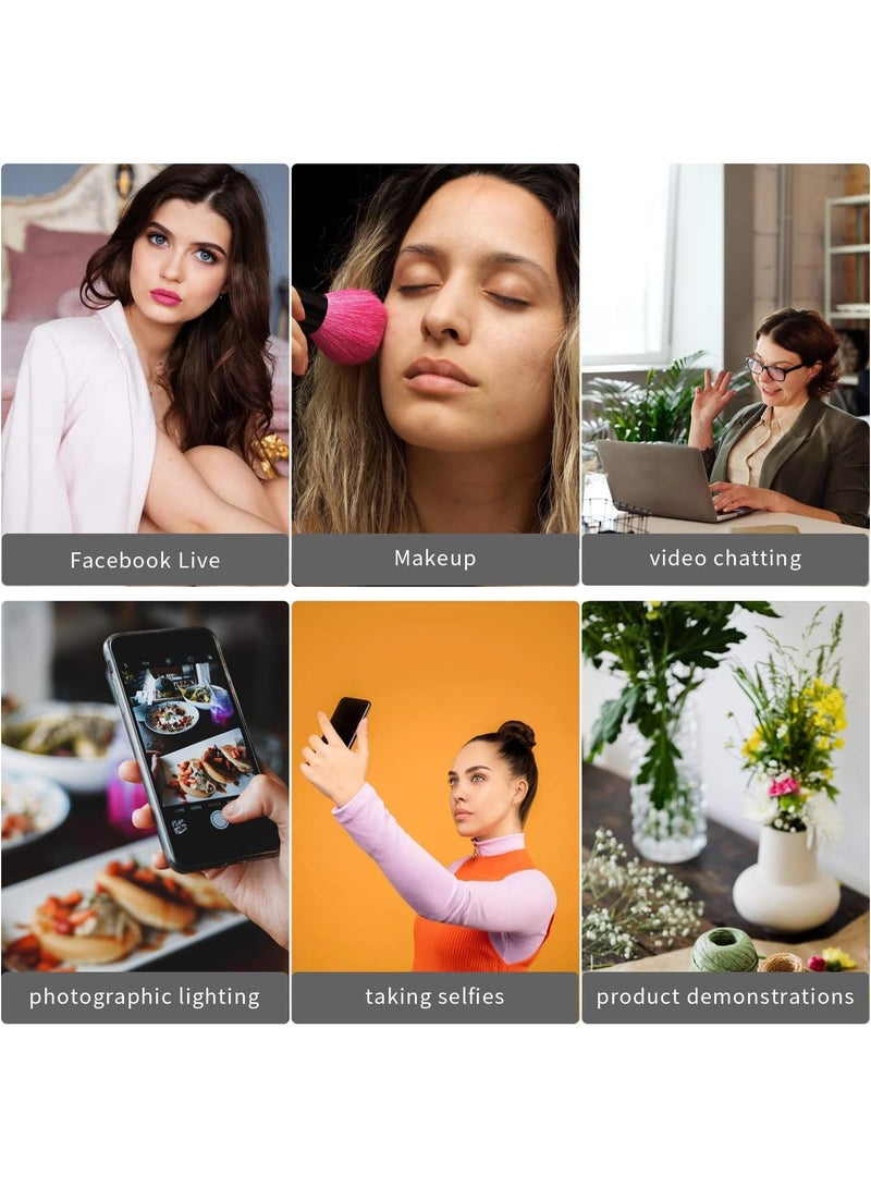 10-Inch Ring Light with Tripod Stand – 3 Color Styles, 3 Color Modes, 8 Brightness Levels, USB Powered LED Selfie Ring Light with Phone Holder – Black - Image 5