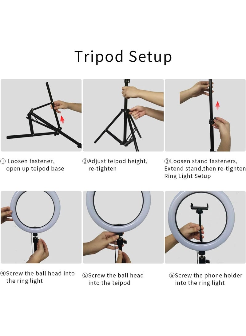 10-Inch Ring Light with Tripod Stand – 3 Color Styles, 3 Color Modes, 8 Brightness Levels, USB Powered LED Selfie Ring Light with Phone Holder – Black - Image 3