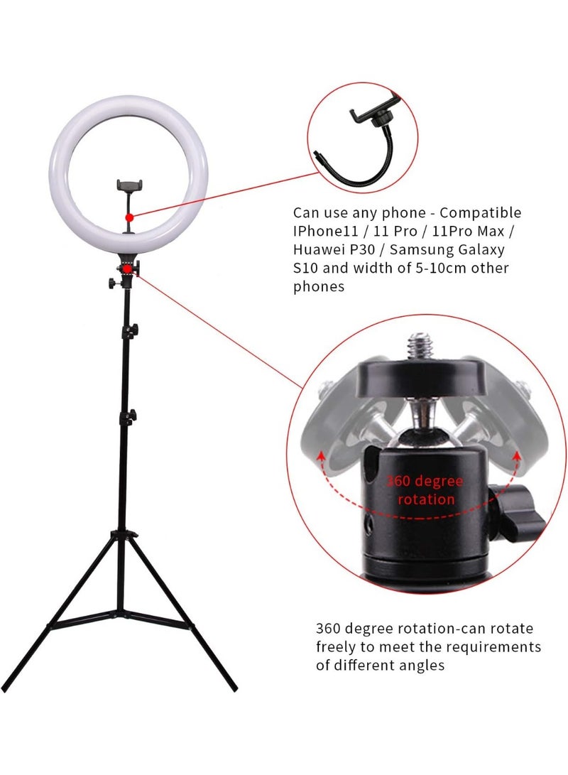 10-Inch Ring Light with Tripod Stand – 3 Color Styles, 3 Color Modes, 8 Brightness Levels, USB Powered LED Selfie Ring Light with Phone Holder – Black - Image 2