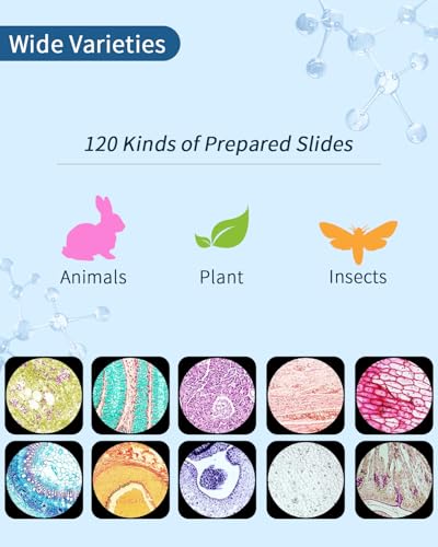 JECONE 120-Pcs Microscope Slides with Specimens,Plant, Animal, Algae,etc,Educational Microscope Slides and Covers for Young Scientists,Perfect for Biology Class and Experiments - Image 4