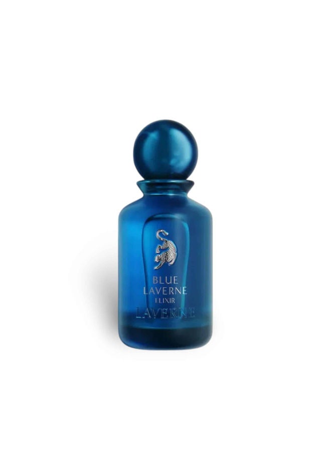 سعر ومواصفات لافيرن عطر بلو لافيرن إليكسيرEDP 100ML (Z7257A6BF7FB4651C7B61Z) على Noon EG