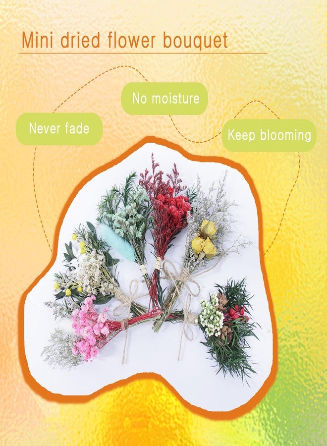 TooGet 9Pcs Mini Dried Flower Bouquets Real Small Boho Floral Bouquet Natural Dried Flowers for DIY Crafts Cake Gift Packaging Wedding Decor and Home Decorations - Image 3