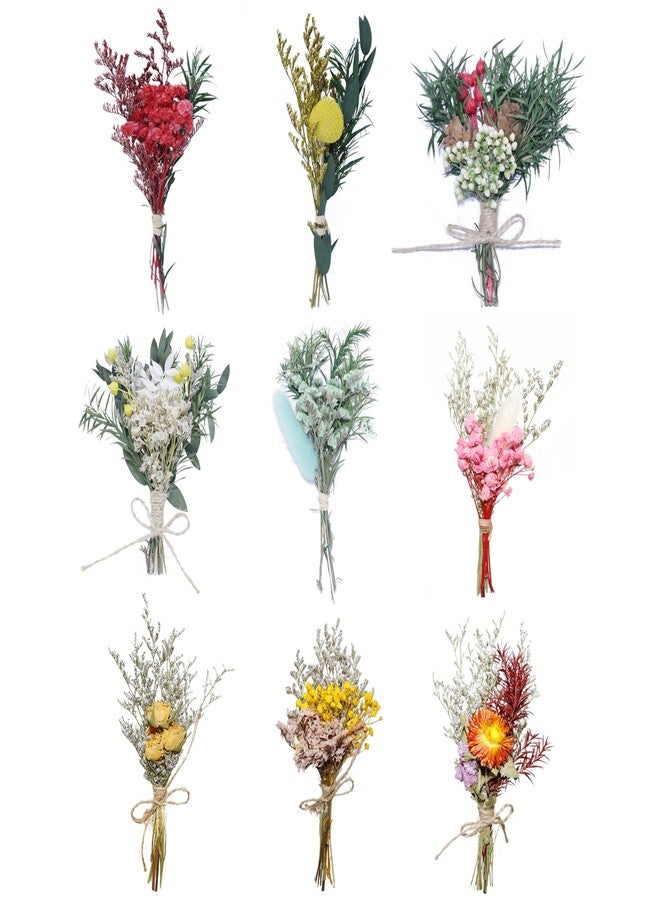 TooGet 9Pcs Mini Dried Flower Bouquets Real Small Boho Floral Bouquet Natural Dried Flowers for DIY Crafts Cake Gift Packaging Wedding Decor and Home Decorations - Image 1
