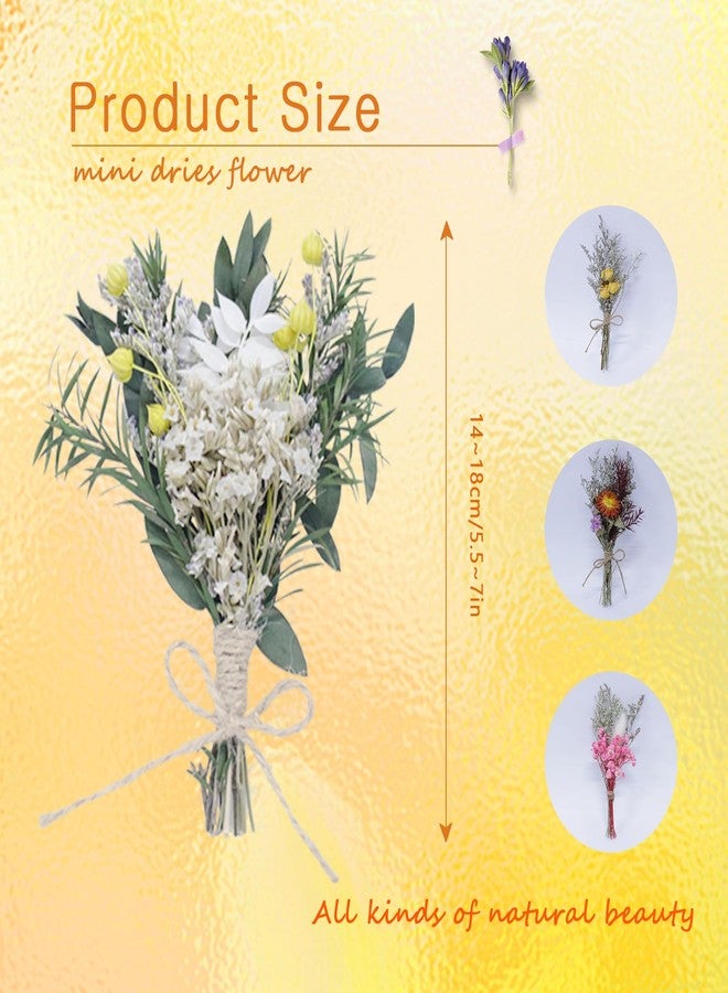 TooGet 9Pcs Mini Dried Flower Bouquets Real Small Boho Floral Bouquet Natural Dried Flowers for DIY Crafts Cake Gift Packaging Wedding Decor and Home Decorations - Image 2