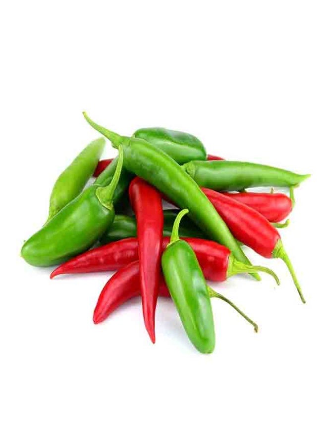 Mixed Chillies, 50g , Kenya